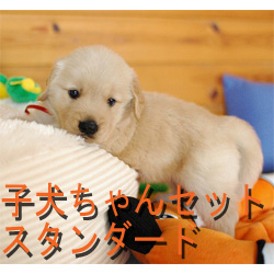 �Ҹ�������ޤ���������������å�  �ȥ��졦������̵��